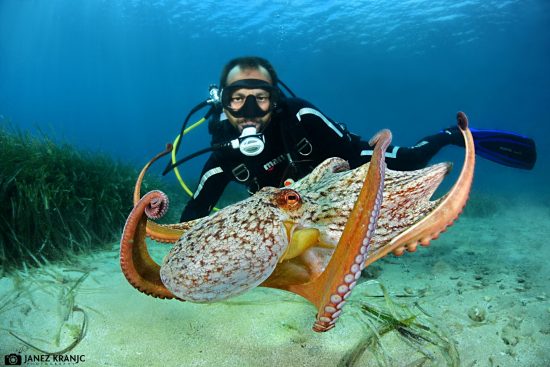 מקור אוויר חלופי - המדריך המלא