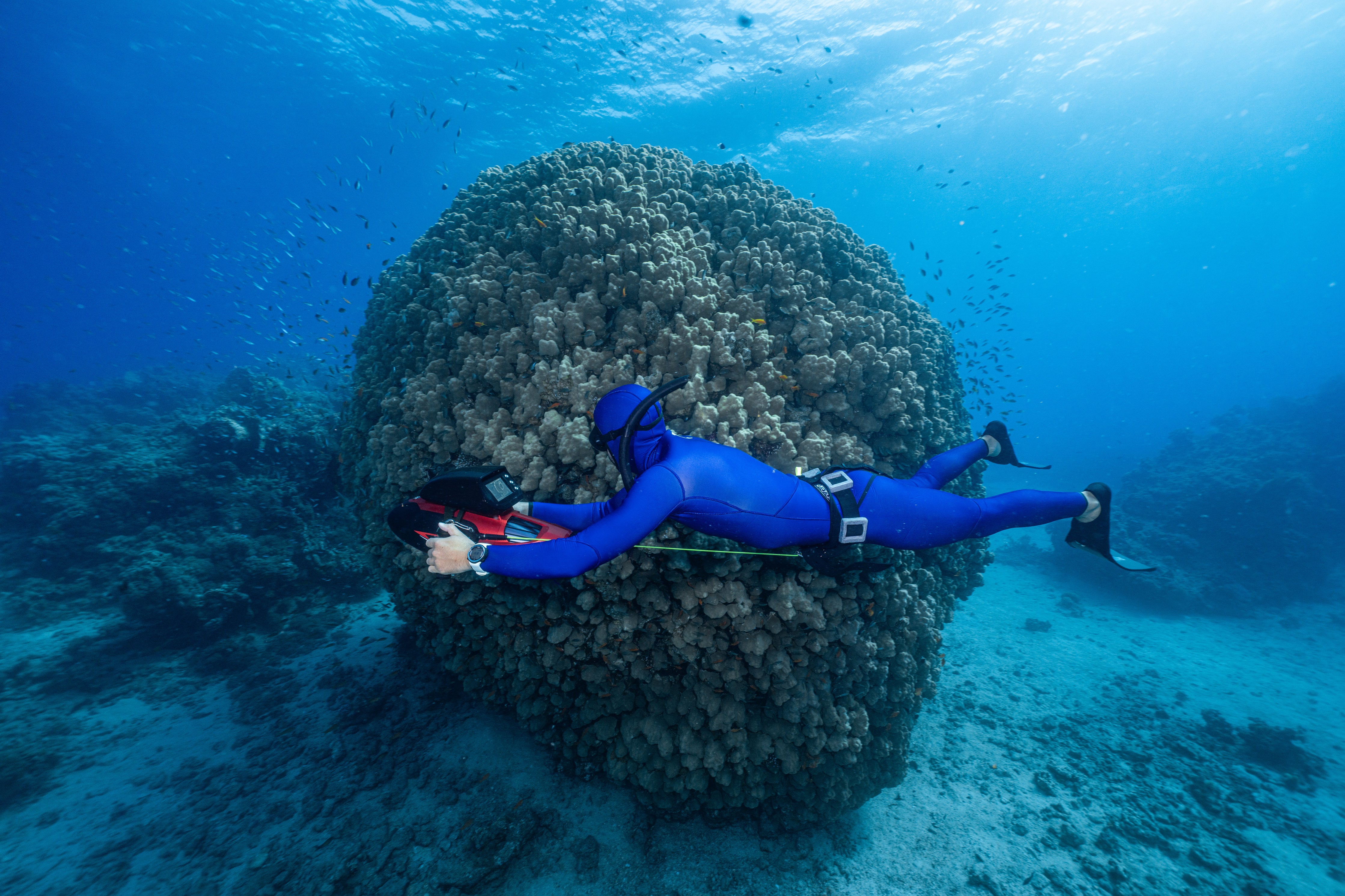ADVENTURE 5.5mm Dark Blue Freediving Jacket חליפה צלילה חופשית ספורטיבית חלק עליון בעובי 5.5 מ"מ