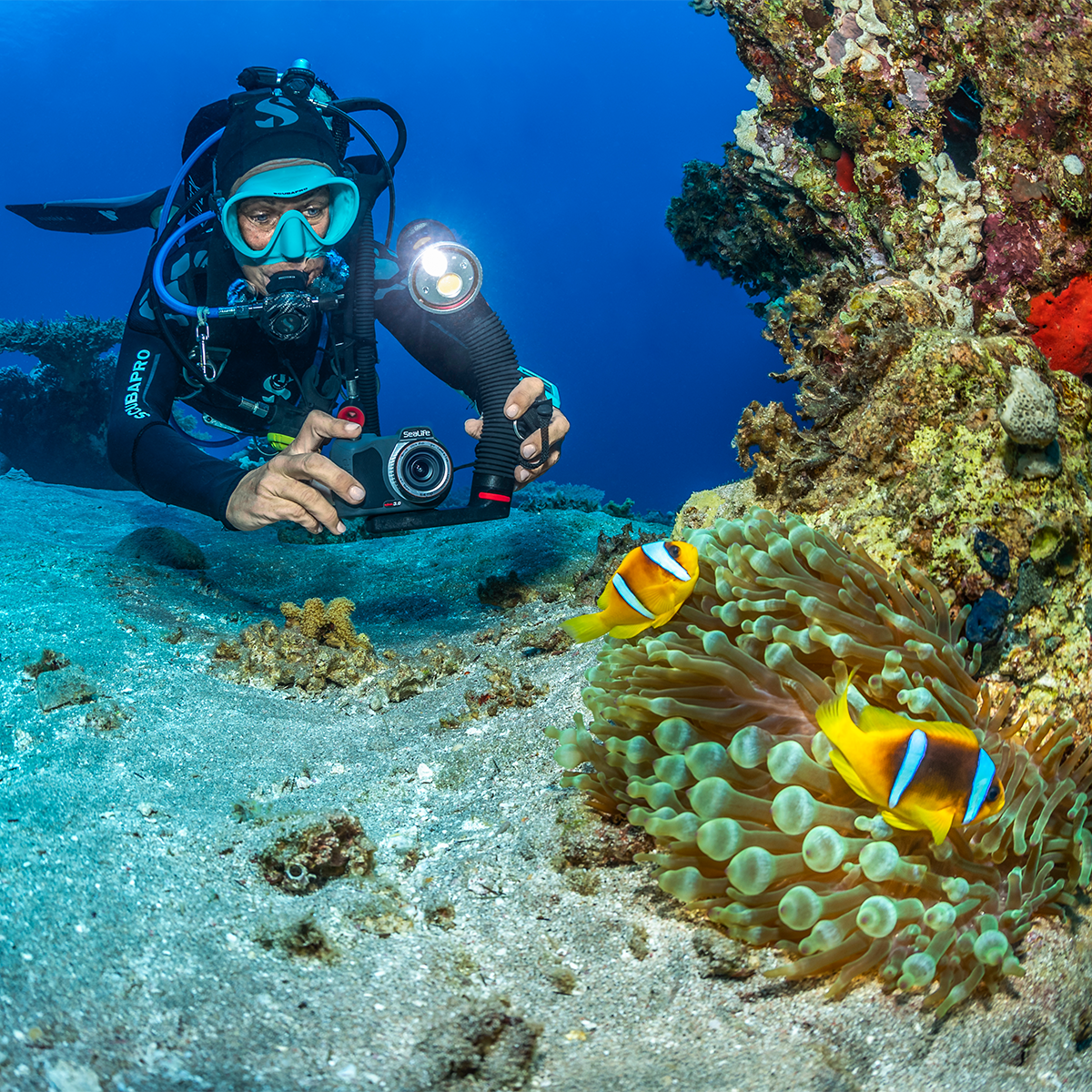 SEA LIFE Sea Dragon 3000F Pro Dual Beam SL679 תאורה לווידאו ותמונה עם קרן אור כפולה