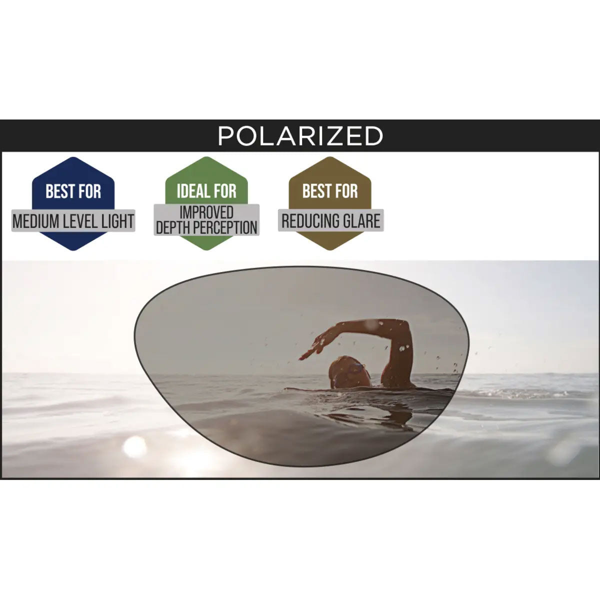 ZOGGS Predator Polarized משקפי שחייה