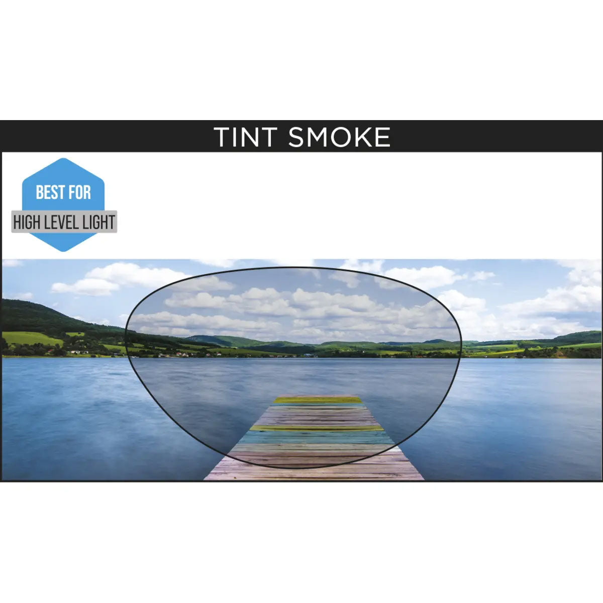 ZOGGS Tiger משקפת שחייה - דוגית