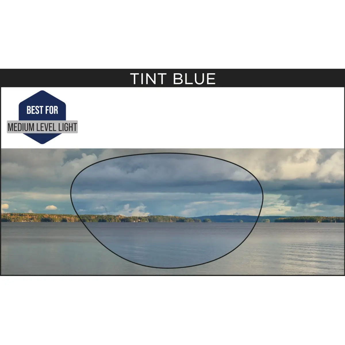 ZOGGS Tiger משקפת שחייה - דוגית