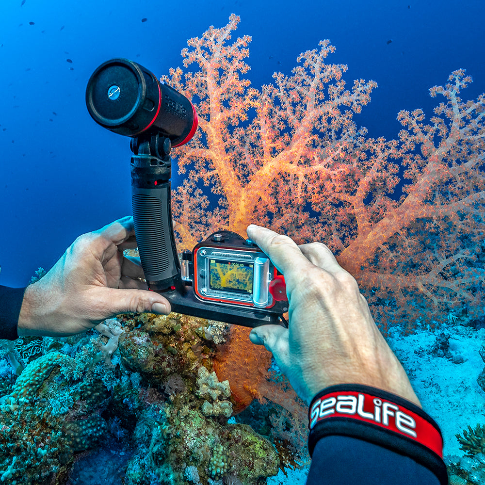 מצלמה- SeaLife REEFMASTER RM-4K UW CAMERA SL350 - דוגית