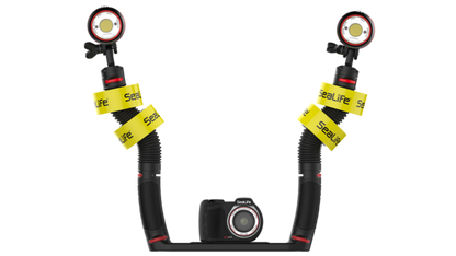 SEALIFE Buoyancy Floatation Rings טבעות ציפה - דוגית