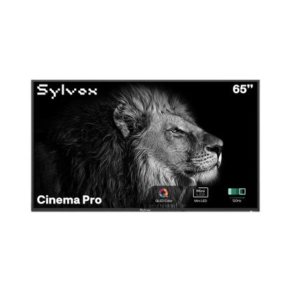 SYLVOX 65" Cinema Pro Helio QLED Outdoor TV טלויזיה Helio QLED בגודל 65 אינץ' לשימוש חיצוני בשמש מלאה - דוגית