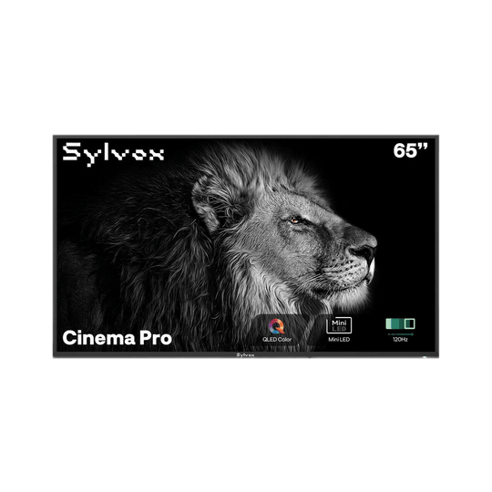 SYLVOX 65" Cinema Pro Helio QLED Outdoor TV טלויזיה Helio QLED בגודל 65 אינץ' לשימוש חיצוני בשמש מלאה