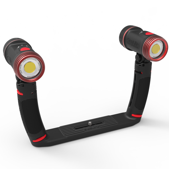 SEA LIFE Sea Dragon DUO 5000F Set סט שני מבזקים