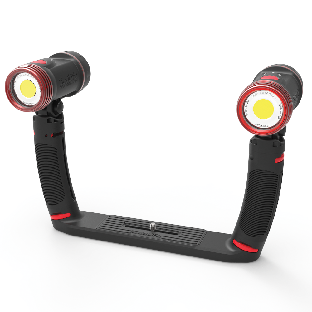 SEA LIFE Sea Dragon DUO 5000F Set סט שני מבזקים