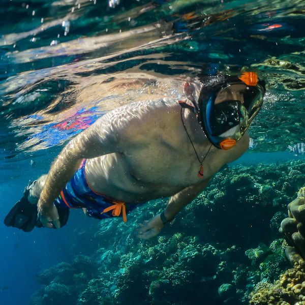 OCEAN REEF ARIA Full Face Classic מסכה עם שנורקל