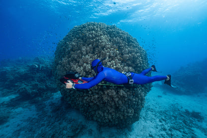 ADVENTURE 5.5mm Dark Blue Freediving Jacket חליפה צלילה חופשית ספורטיבית חלק עליון בעובי 5.5 מ"מ