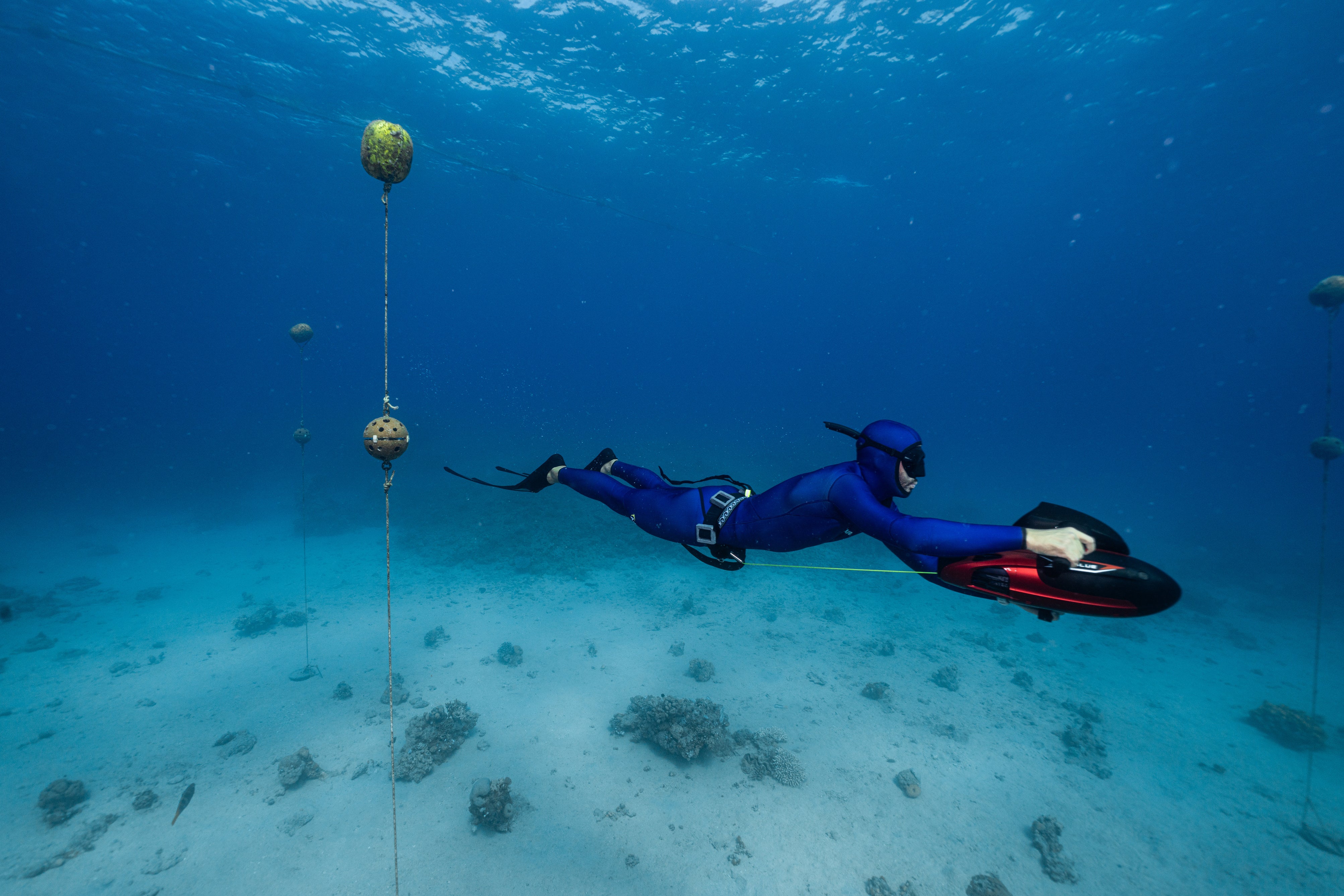 ADVENTURE 5.5mm Dark Blue Freediving Jacket חליפה צלילה חופשית ספורטיבית חלק עליון בעובי 5.5 מ"מ