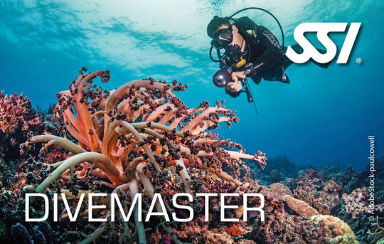 Dive Guide / Divemaster Kit תעודת SSI דיגיטלית לקורסי צלילה: התמחות מוביל צלילה + דייבמאסטר