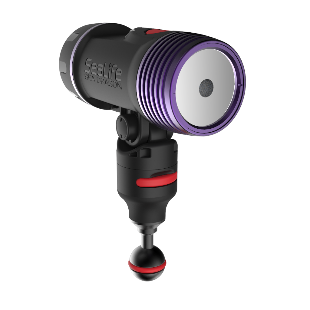 Sea Life Sea Dragon Fluro Dual Beam SL673 מבזק - דוגית