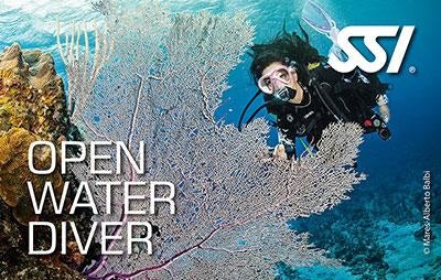 Open Water Diver Kit תעודת SSI דיגיטלית לקורס צלילה: צולל מים פתוחים (כוכב 1) - דוגית