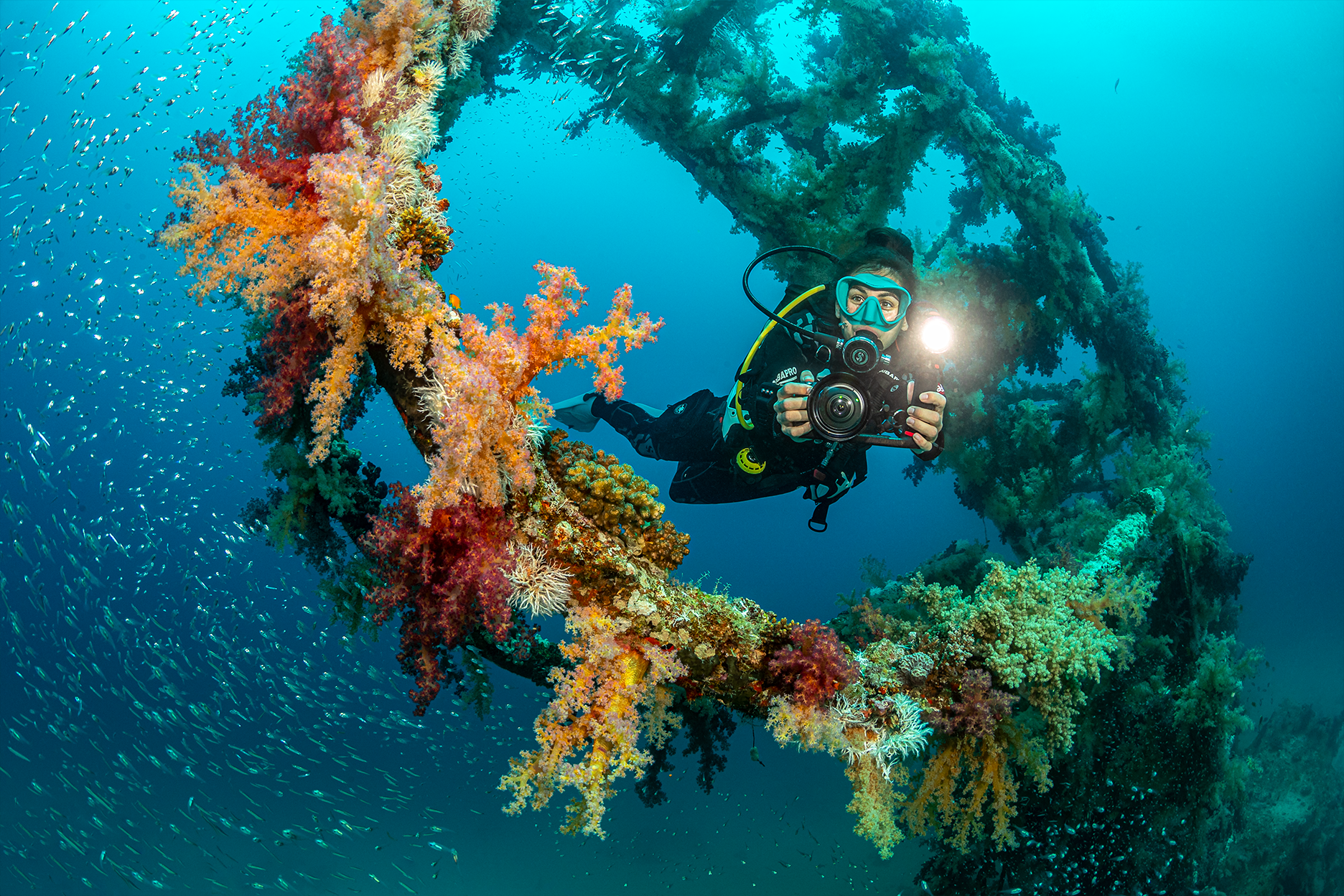 SEA LIFE Sea Dragon 3000F Pro Dual Beam SL679 תאורה לווידאו ותמונה עם קרן אור כפולה - דוגית
