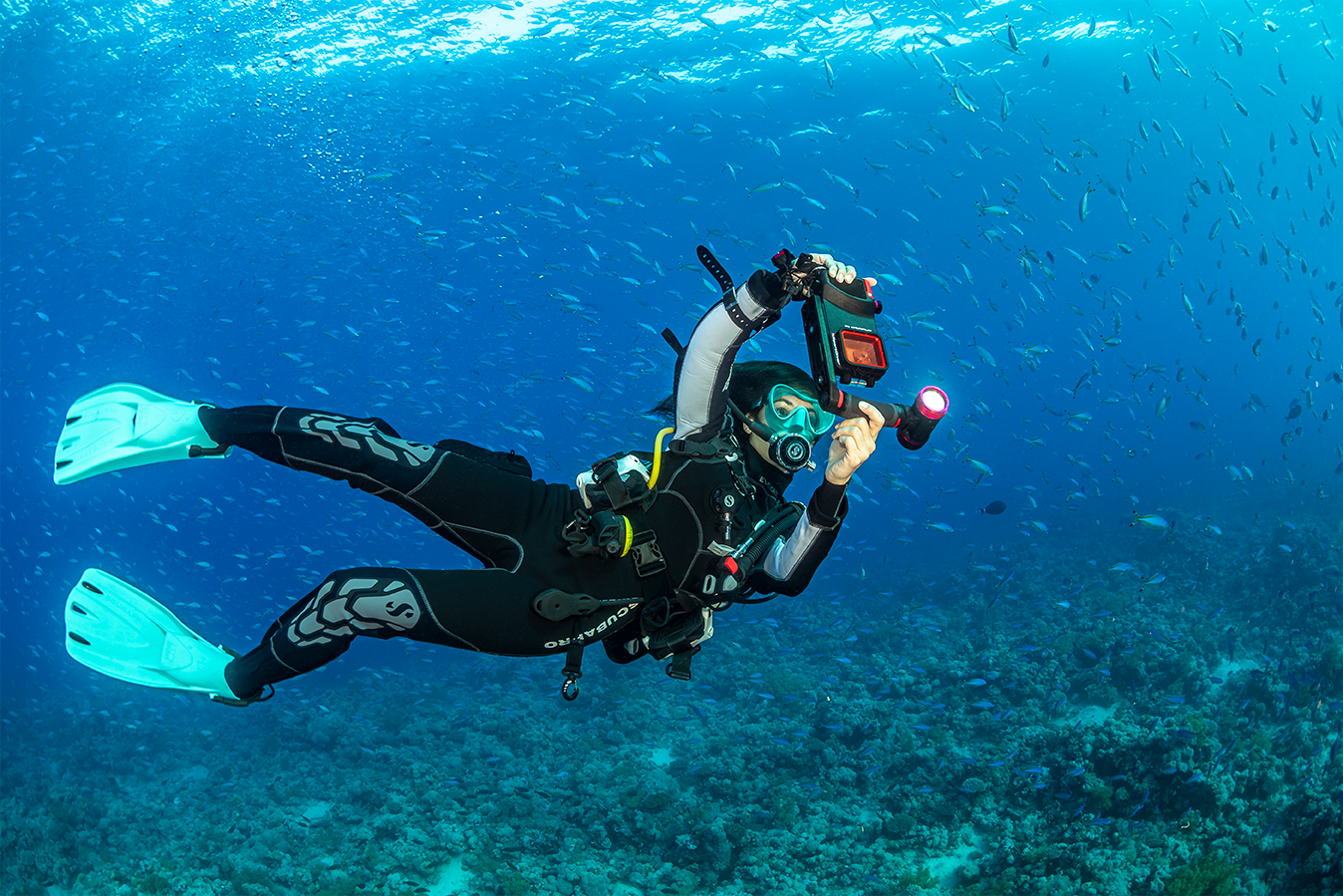 SEA LIFE SportDiver Ultra Smartphone Housing מארז תת ימי מתקדם לסמארטפון - דוגית