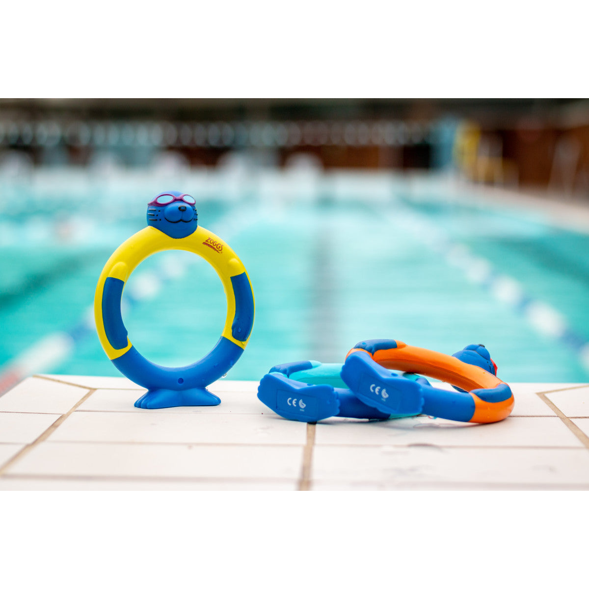 ZOGGS Zoggy Dive Rings משחק בריכה - דוגית