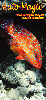 פילטר קסם אוטומטי - Automagic
