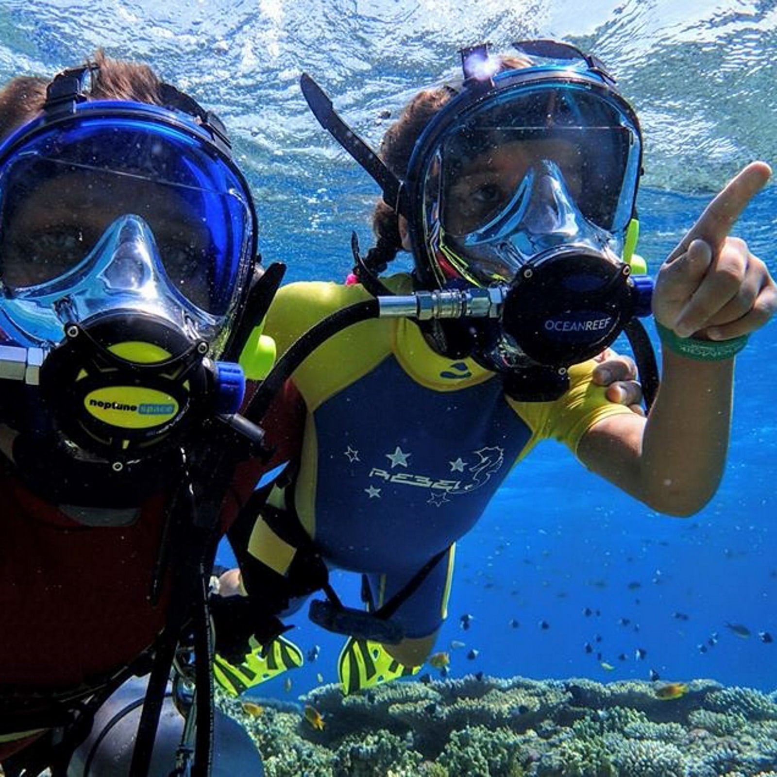 מסכת צלילה Ocean Reef GDivers Emerald Full Face - דוגית
