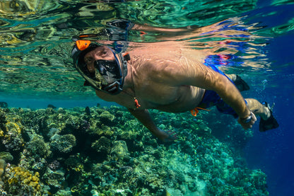 OCEAN REEF Aria QR+ מסכה עם שנורקל - דוגית