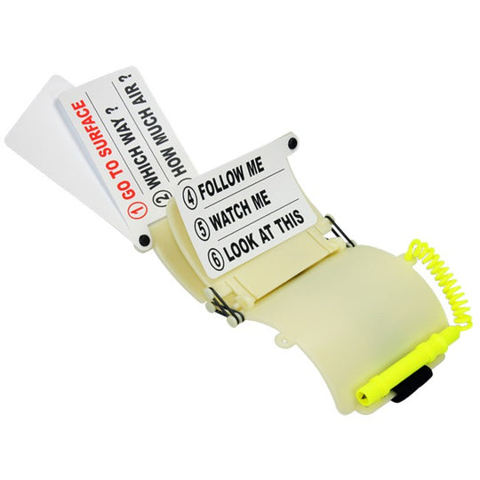 לוח רישום WS-300